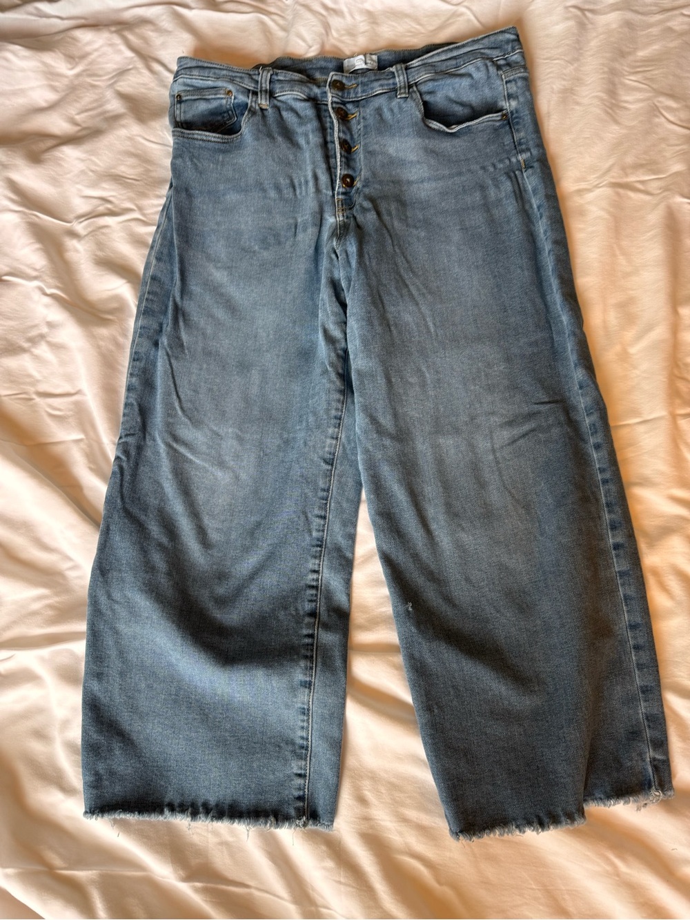 Daily/Ritual Cropped Wide Leg High-Rise Jeans in Light Blue